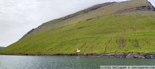 Llegando a Kalsoy
Llegando a Kalsoy
