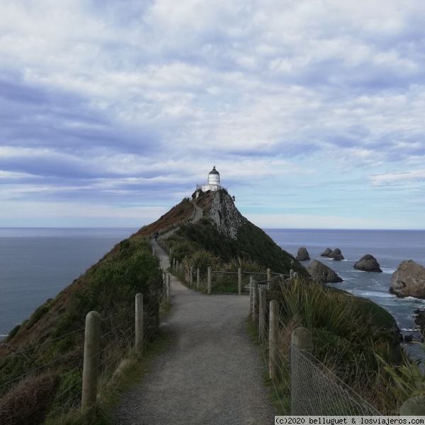 Nugget Point
Nugget Point
