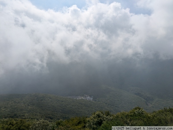 P.N Hallasan
P.N. Hallasan
