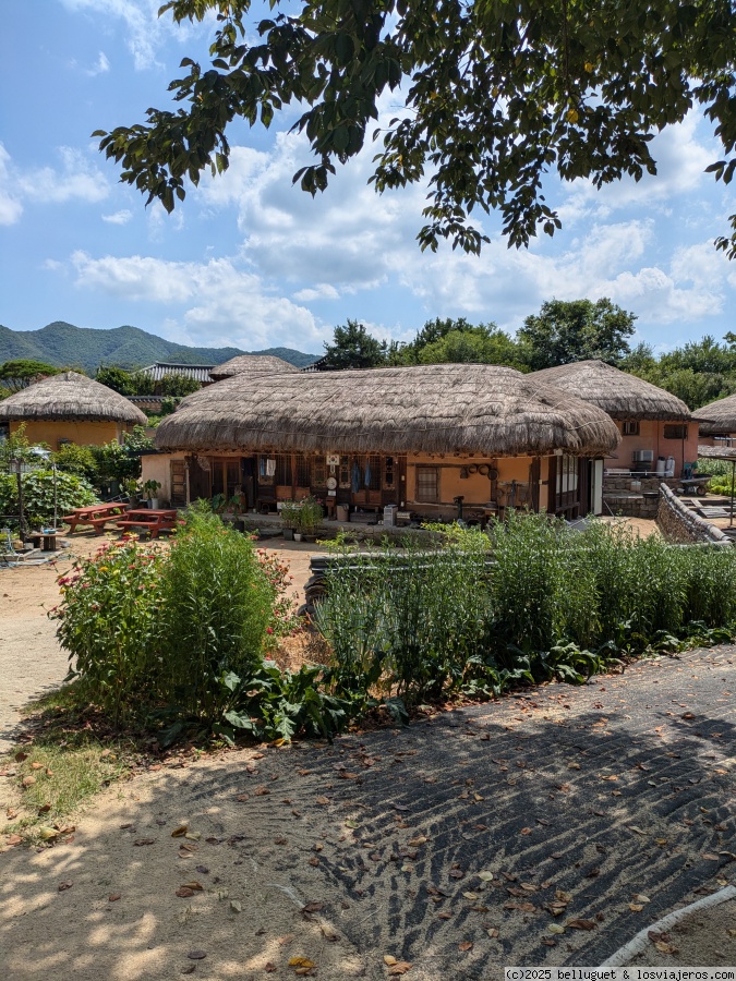 Etapa 7. Parte A. Seoul - Andong - Hahoe Village Andong - Corea del Sur en 18 días (6)