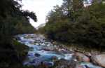 HollyFord
HollyFord, Hollyford