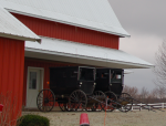 Napanee Amish Comunity
Napanee, Amish, Comunity