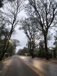 Calles vacias de Iguazú