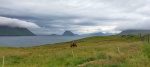 Dia 4. Isla de Vágar. Cascada de Bosdalafossur -LeitVatn - Traelanípa