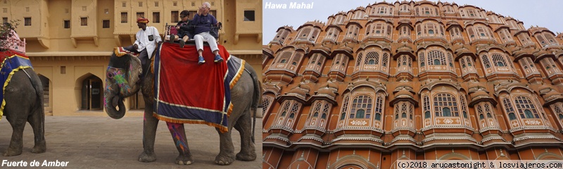 Rajastan en coche III: Pushkar, Jaipur y regreso a Delhi - 40 días en la India 2018, del Carnaval al HOLI (3)
