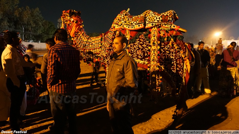 Rajastan en coche I: Mandawa, Bikaner y Jaisalmer - 40 días en la India 2018, del Carnaval al HOLI (14)
