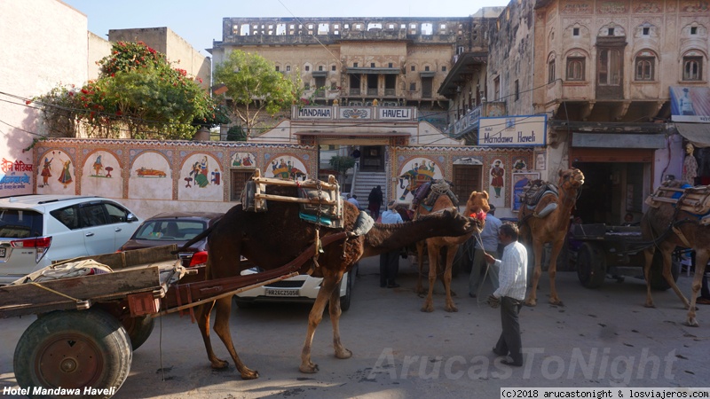 40 días en la India 2018, del Carnaval al HOLI - Blogs de India - Rajastan en coche I: Mandawa, Bikaner y Jaisalmer (1)