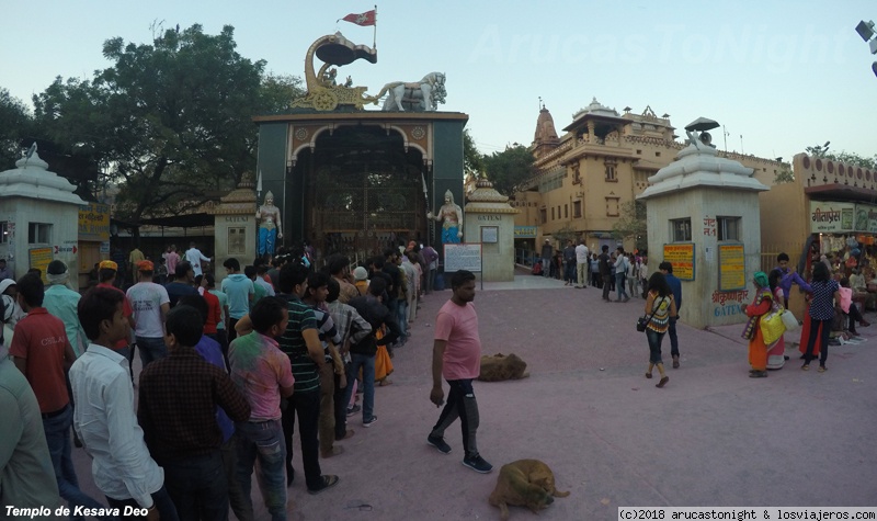 El HOLI más tradicional en Mathura-Vrindavan y regreso a Delhi - 40 días en la India 2018, del Carnaval al HOLI (3)