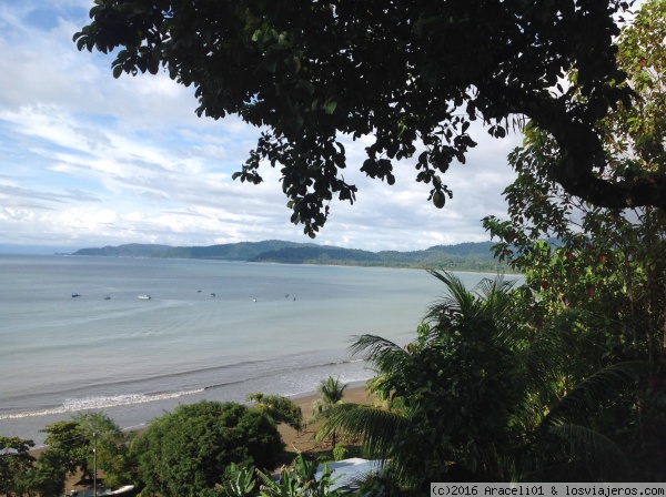 Bahía Drake, playa Agujitas
Es la vista que se tiene desde Cotingas!,
