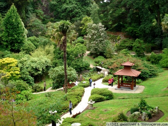 El jardín japonés de Powerscourt
Vista del precioso jardín japonés que hay en los jardines del palacio de Powerscourt
