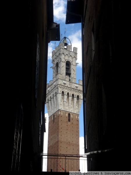 La torre del Palazzo Pubblico de Siena
Vista de la torre del palazzo pubblico, construido a principios del s. XIV, desde una callejuela de Siena
