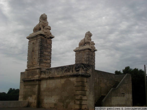 Forum of Auvernia Ródano Alpes: Puente de Arles sobre el Rodano