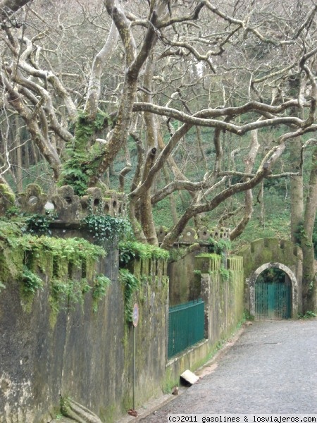 Entrada al jardín del Palacio da Pena de Sintra
Muro de entrada al jardín del Palacio da Pena, lleno de musgo, una seña de identidad en la mayoria de los muros de Sintra
