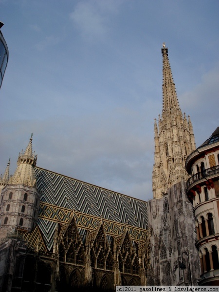 Stephansdom, la Catedral de Viena
Preciosa catedral gotica de Viena, comenzada a construir en el s. XVII y que esta dedicada como su nombre indica a san Esteban
