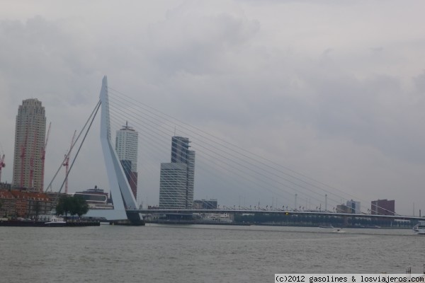 El Erasmusbrug de Rotterdam
Uno de los simbolos de Rotterdam es este puente colgante de 138 m. de altura.  Tambien conocido como el cisne por su forma.
