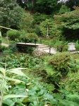 El puente del Jardin Japones de Powerscourt