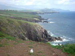 Dingle cliffs