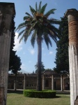 Un Jardin de Pompeya - Italia
Pompeii Garden - Italy