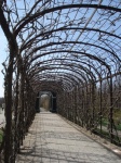 Paseo por los jardines de Schonbrunn en Viena