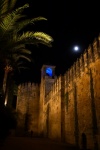 El Alcazar y la luna de Cordoba
Cordoba España Muralla