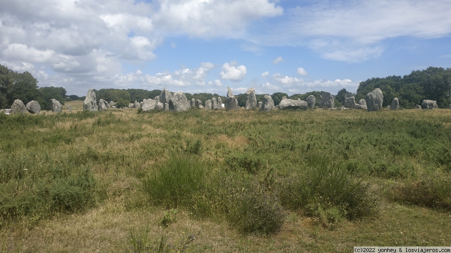 Bretaña 7 días en junio - Blogs de Francia - Zona alineamientos Carnac (1)