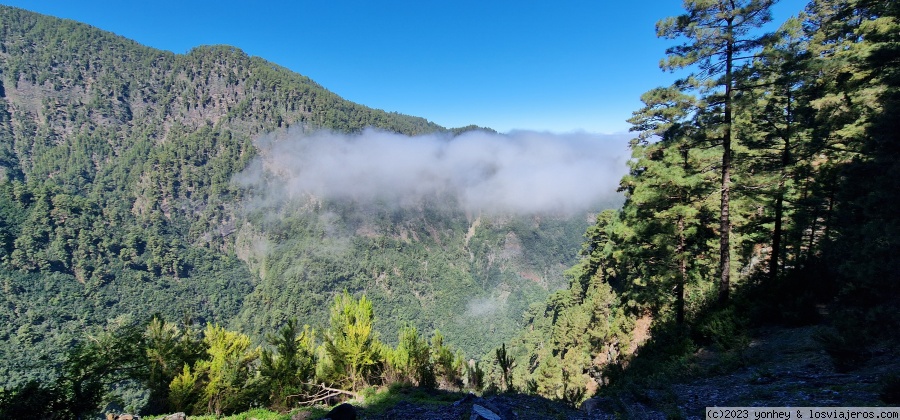 D4. Nacientes de Marcos y Cordero - La Palma 7 días (1)