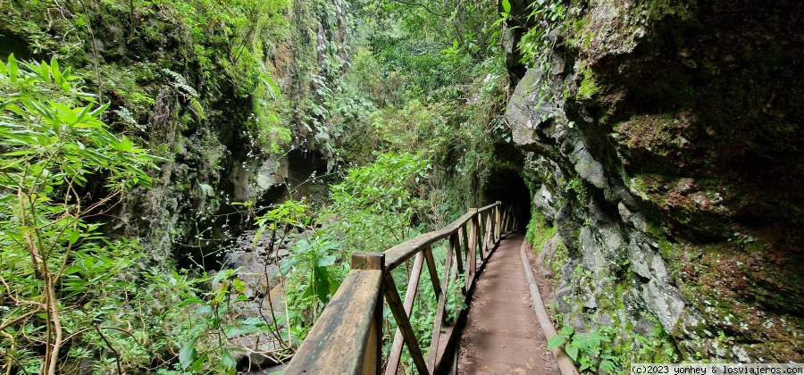 Camino a la cascada de los Tilos, La Palma