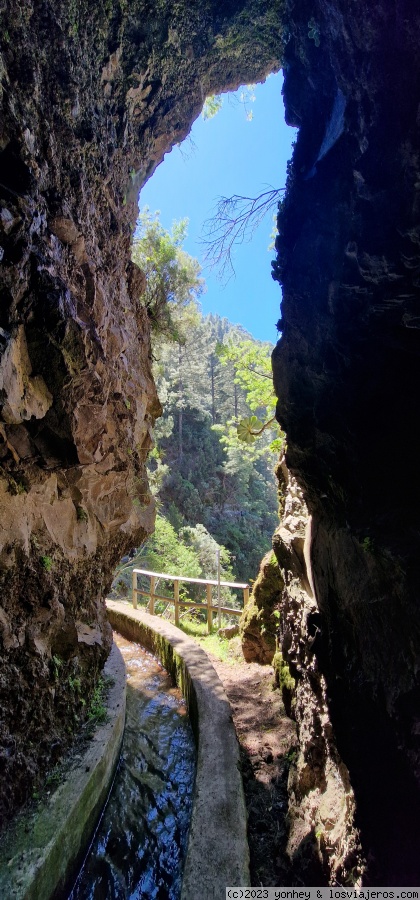 D4. Nacientes de Marcos y Cordero - La Palma 7 días (2)