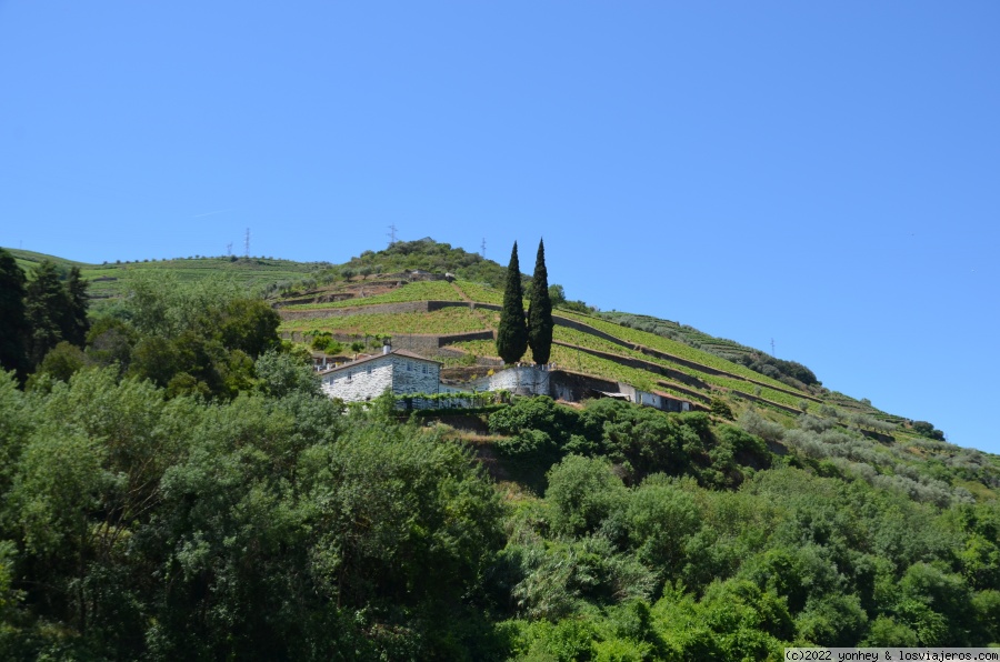 EMBARQUE CRUCERO 1 DÍA DUERO - Peso da Regua  (Portugal) en fin de semana (4)