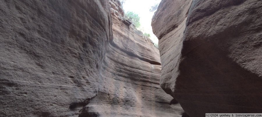 Día 2: Barranco de las Vacas - Gran Canaria (Enero-7 días) (4)