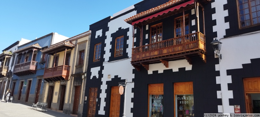 Día 3. Teror - Gran Canaria (Enero-7 días) (4)