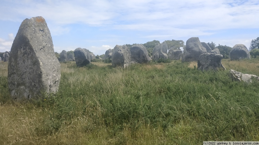 Bretaña 7 días en junio - Blogs de Francia - Zona alineamientos Carnac (4)