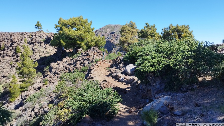 D3. Roque de los Muchachos a Refugio de El Pilar - La Palma 7 días (4)