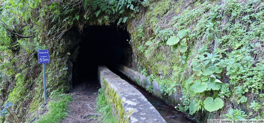 D4. Nacientes de Marcos y Cordero - La Palma 7 días (4)