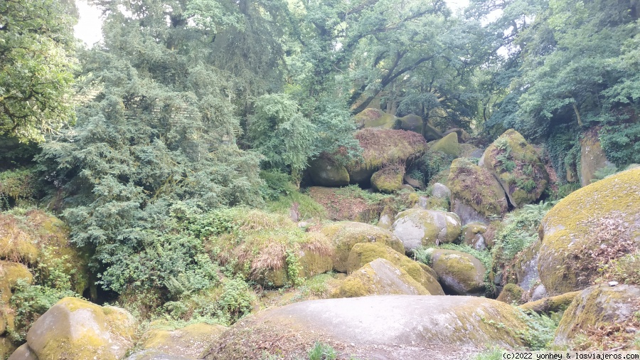 El bosque de Leyenda de Brocéliande - Bretaña Francesa