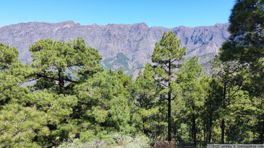 D6. Mirador de la Cumbrecita - La Palma 7 días (5)