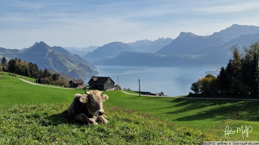 Verano en Suiza: aventuras en familia (1)
