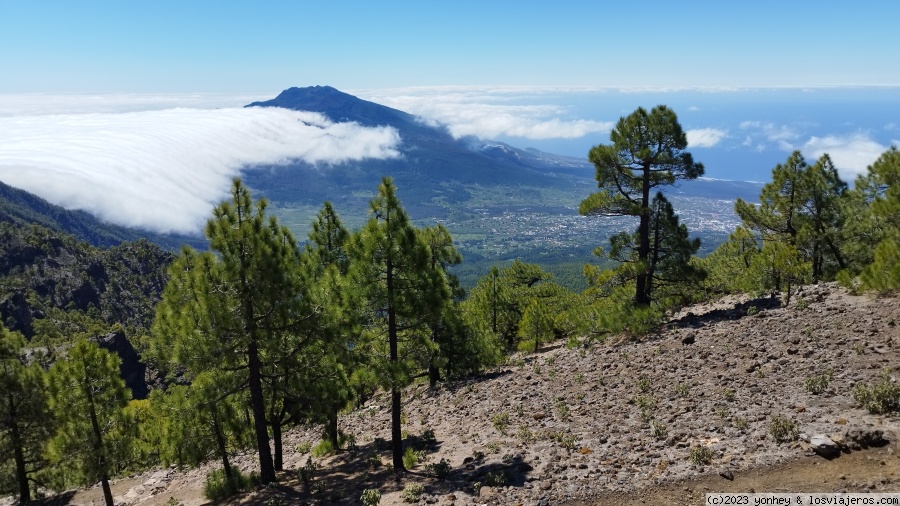 D3. Roque de los Muchachos a Refugio de El Pilar - La Palma 7 días (6)
