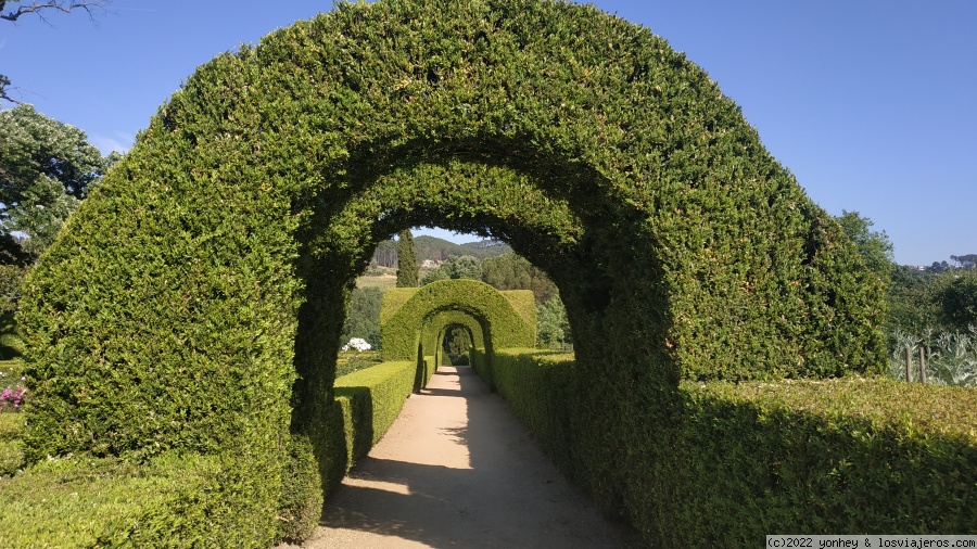 PALACIO DE MATEUS - Peso da Regua  (Portugal) en fin de semana (4)