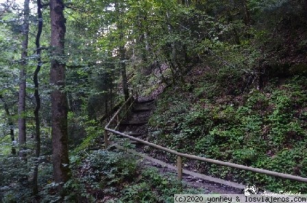 Viaje Alemania-Austria 2020 - Blogs de Europa Central - DÍA 8b (03/09/20): PARTNACHKLAMM (4)