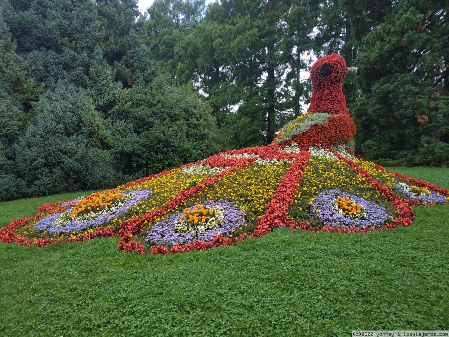 CATARATAS DEL RIN, STEIN AM RHEIN, ISLA DE MAINAU y KONSTANZ - Viaje a Centroeuropa-Verano 2021 (5)