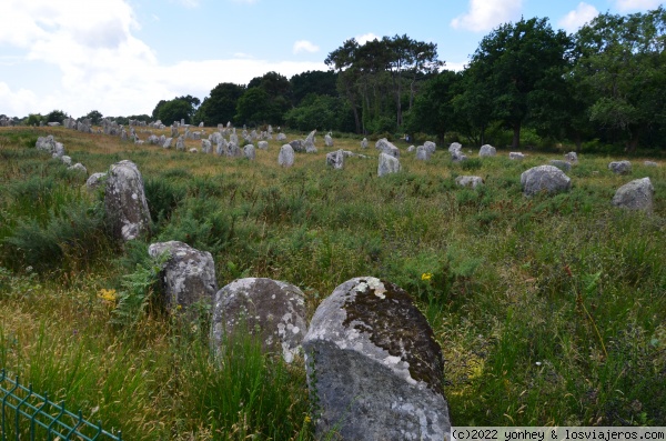 Alineamientos de Kermario, Carnac, Francia
Alineamientos de Kermario, Carnac, Francia
