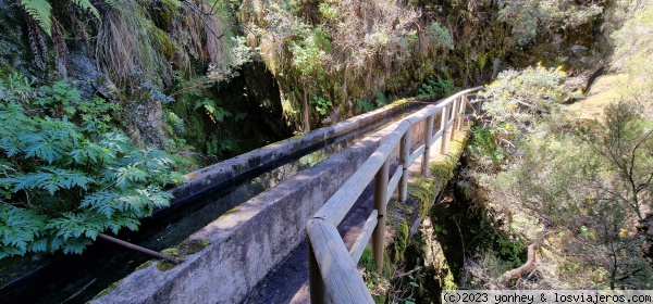 Sendero nacientes Marcos y Cordero, La Palma
Sendero nacientes Marcos y Cordero, La Palma
