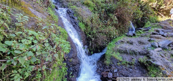 Zona naciente de Marcos, La Palma
Zona naciente de Marcos, La Palma
