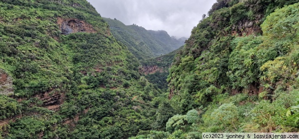 Paisaje entre Barlovento y Los Gallegos, La Palma
Paisaje entre Barlovento y Los Gallegos, La Palma
