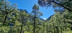 Vistas desde la zona del mirador de la Cumbrecita, La Palma