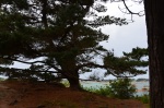 Costa granito rosa, Ploumanach, Perros-Guirec, Francia