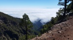 Vista desde el GR-131 de La Palma con el Teide sobre el mar de nubes