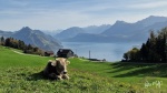 Suiza en primavera: Experiencias, Gastronomía, Eventos