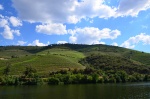 Vistas del Duero desde el crucero, Portugal
Vistas, Duero, Portugal, desde, crucero